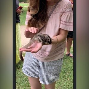 BB Dakota light pink top size XS